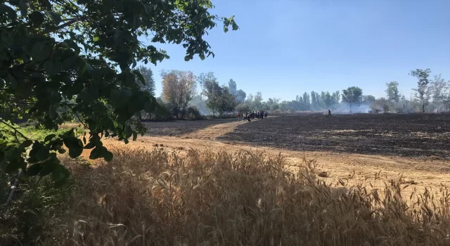 Eskişehir’de buğday tarlasında çıkan yangın söndürüldü