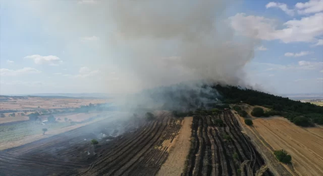 Balıkesir’de orman yangınına müdahale ediliyor