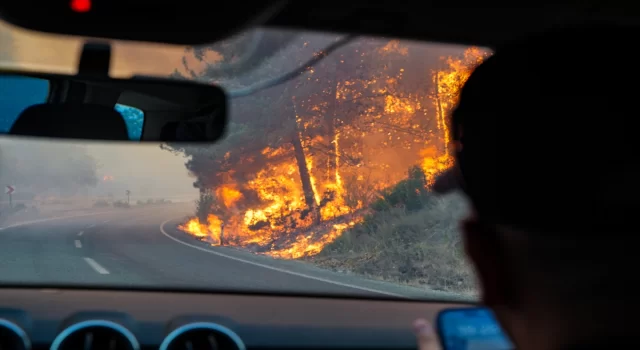 GÜNCELLEME İzmir’in Selçuk ilçesinde orman yangını çıktı