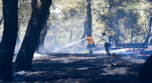 İzmir ve Balıkesir’deki orman yangınları kontrol altına alındı (2)