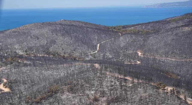 İzmir’in Selçuk ilçesinde zarar gören orman alanı helikopterden görüntülendi