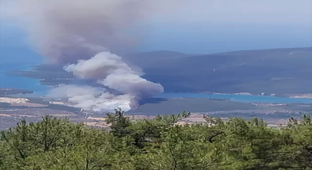 Muğla’nın Milas ilçesinde orman yangını çıktı