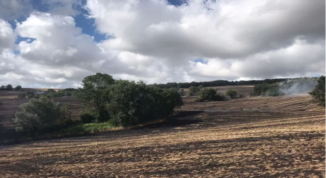 Samsun’da anız yangını yaklaşık 100 dönüm alanda zarara yol açtı