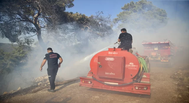 Fethiye’de zeytinlikten ormanlık alana sıçrayan yangın söndürüldü