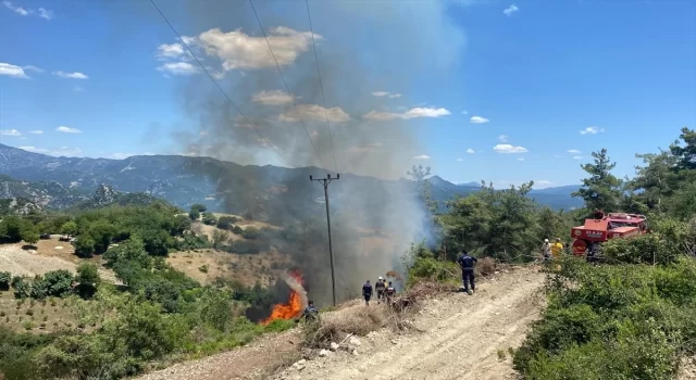 Osmaniye’de çıkan orman yangını söndürüldü