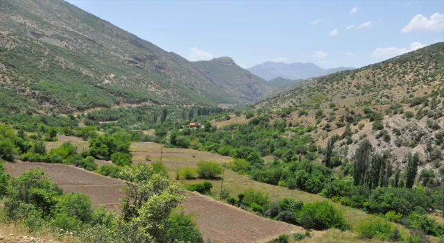 Hakkari’de terör sebebiyle boşaltılan köyler yeniden yerleşime açılacak