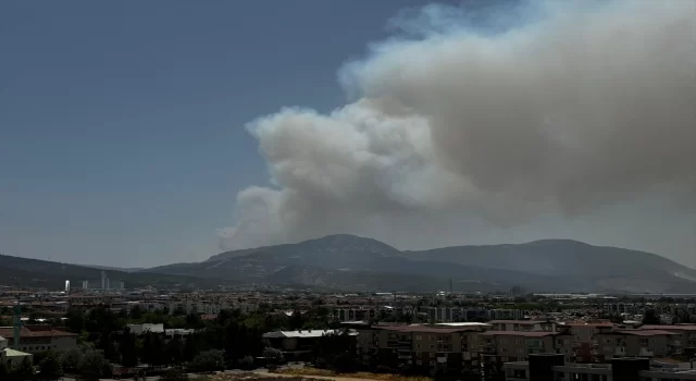 İzmir Bornova’da çıkan orman yangınına müdahale ediliyor