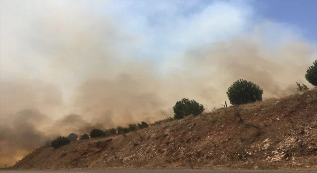 Kahramanmaraş’ta ormanlık alanda çıkan yangın söndürüldü