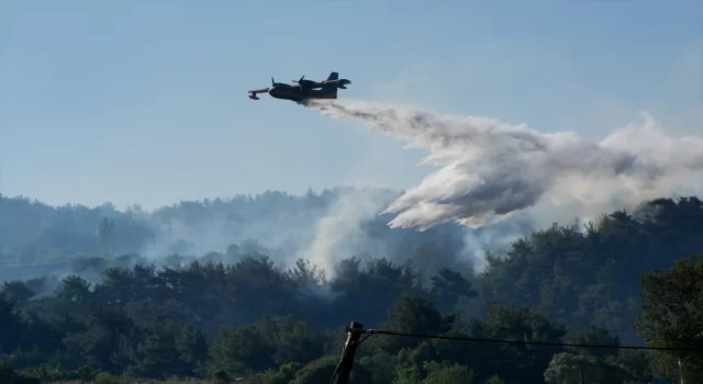 GÜNCELLEME 3 İzmir Bornova’da çıkan orman yangınına müdahale ediliyor