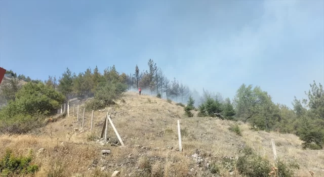 Amasya’da otluk alanda çıkıp ormana sıçrayan yangına müdahale ediliyor