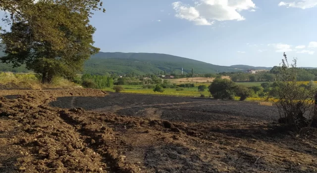 Samsun’da anız yangınında 20 dönüm buğday ekili alan zarar gördü