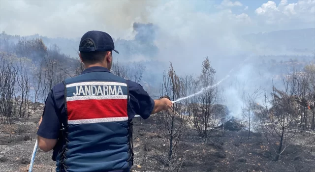 Antalya’da çıkan orman yangını kontrol altına alınmaya çalışılıyor