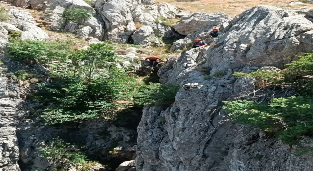 Konya’da kayalıklarda mahsur kalan keçi kurtarıldı