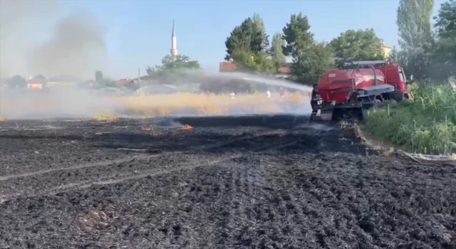 Amasya’da çıkan yangında 10 dönüm buğday ekili alan zarar gördü