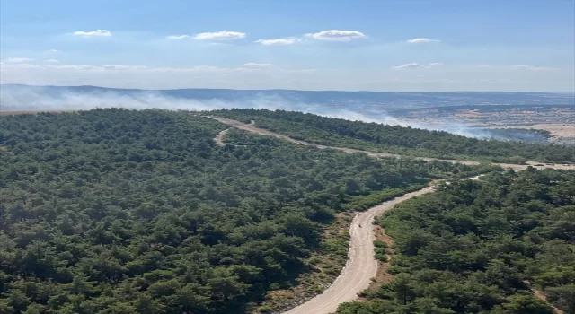 Balıkesir’de çıkan orman yangınına müdahale ediliyor