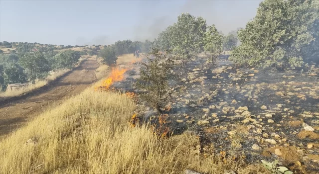 Mardin’de ormanlık alanlarda çıkan yangınlara müdahale ediliyor