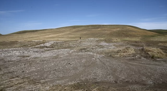 Muş’ta bir şahsın hayatını kaybettiği selde tarım arazileri zarar gördü