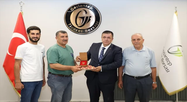 Gaziantep’te yılın ilk Antep fıstığına altın ödülü