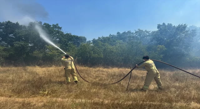 Kırklareli’nde ağaçlık alana sıçrayan anız yangınına müdahale ediliyor