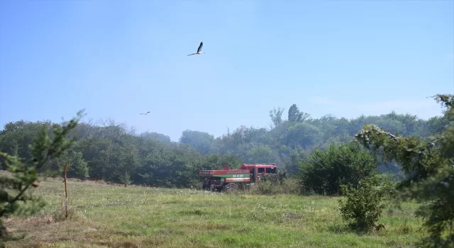 Edirne’de üniversitenin botanik bahçesinde çıkan yangın söndürüldü