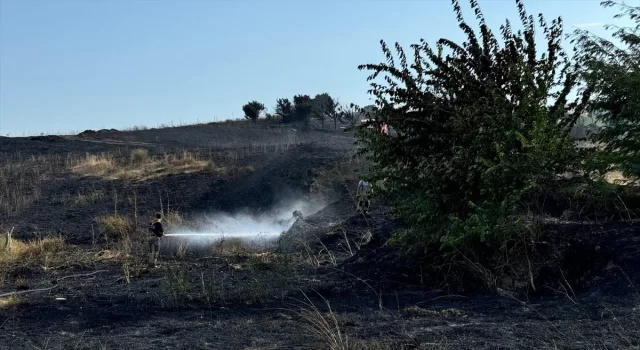 Beylikdüzü’nde otluk alanda çıkan yangın söndürüldü