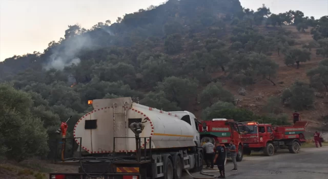 GÜNCELLEME Aydın’da zeytinlik ve ormanlık alanda çıkan yangın kontrol altına alındı