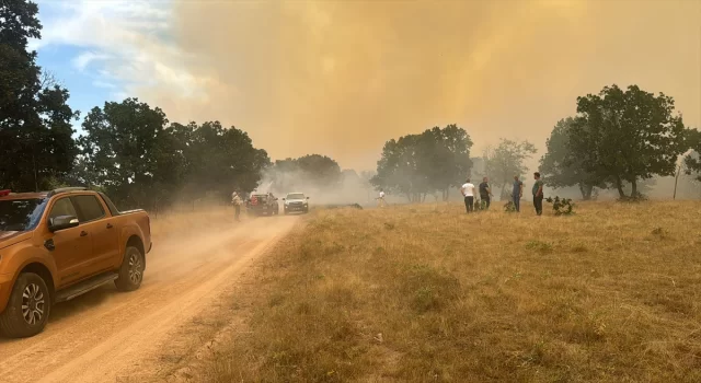 Edirne’de Bulgaristan sınırındaki orman yangınına müdahale ediliyor