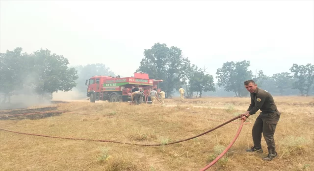 GÜNCELLEME Edirne’de Bulgaristan sınırındaki orman yangınına müdahale ediliyor