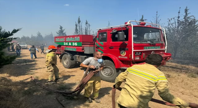 Kırklareli’nde korulukta çıkan yangına müdahale ediliyor