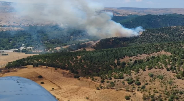 Balıkesir’de ormanlık alanda çıkan yangına müdahale ediliyor