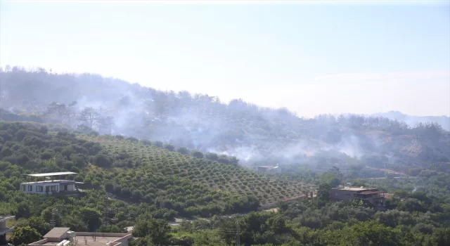 GÜNCELLEME  Hatay’da çıkan orman yangını kontrol altına alındı