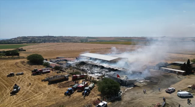 Tekirdağ’da bir çiftlikte çıkan yangında 15 bin saman balyası yandı