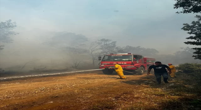 Balıkesir Kepsut’ta çıkan orman yangınına müdahale ediliyor