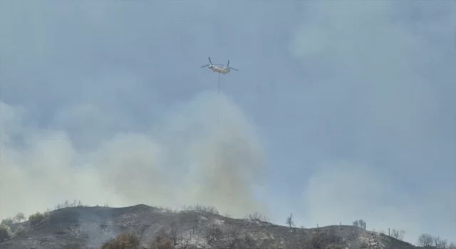 Manisa Turgutlu’da ormana sıçrayan yangına müdahale ediliyor