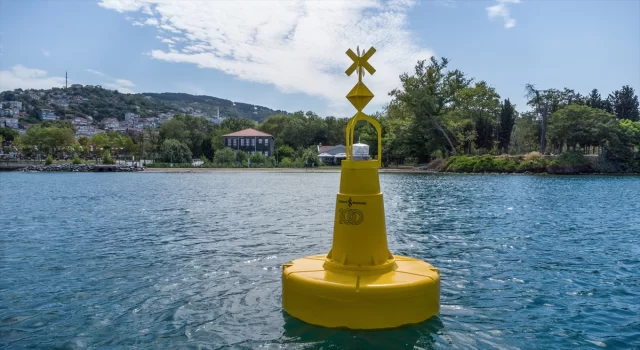 Marmara Denizi ve İstanbul Boğazı’ndaki deniz çayırları şamandıralarla korunacak