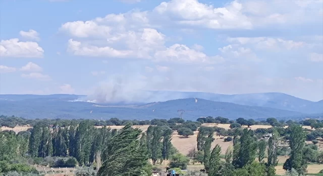 Kütahya’da ormanlık alanda çıkan yangına müdahale ediliyor