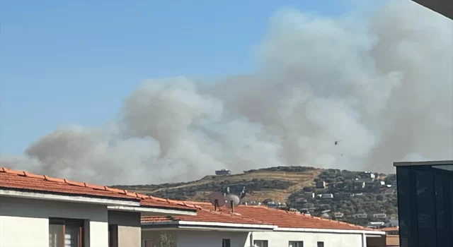 İzmir’in Foça ilçesinde orman yangını çıktı