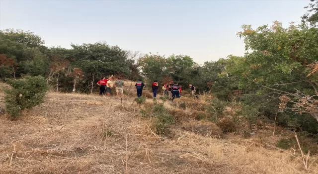 Bodrum’da 10 gün önce kaybolan 88 yaşındaki kadın ölü bulundu