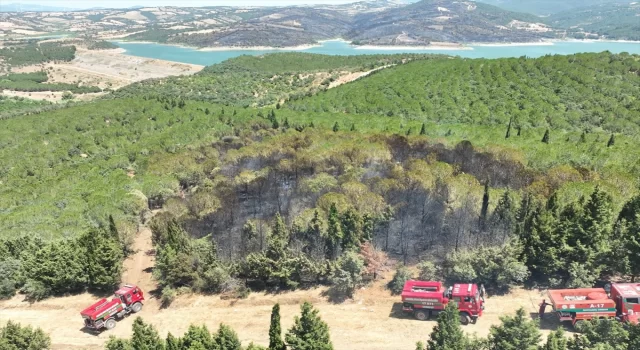 Çanakkale’nin Bayramiç ilçesinde çıkan orman yangınına müdahale ediliyor