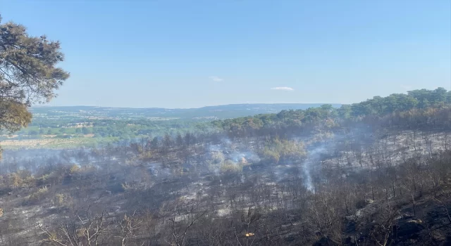 Çanakkale’nin Ayvacık ilçesinde çıkan orman yangını kontrol altına alındı