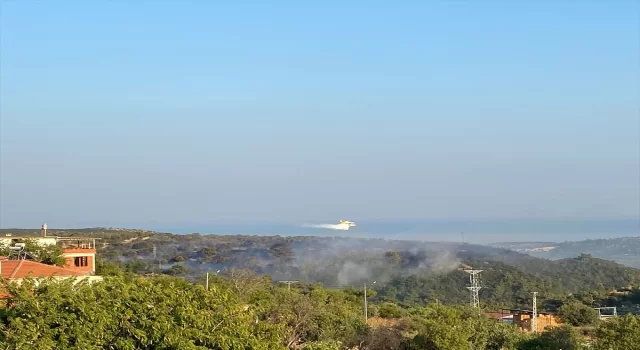 Çanakkale’nin Ayvacık ilçesinde çıkan orman yangınına müdahale ediliyor