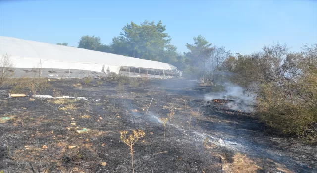 Antalya’da otluk alanda başlayan yangın ormana ve seralara sıçradı