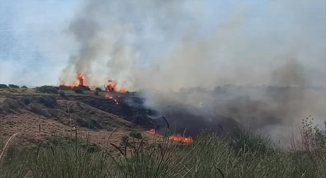 Tekirdağ’da makilik alanda çıkan yangına müdahale ediliyor