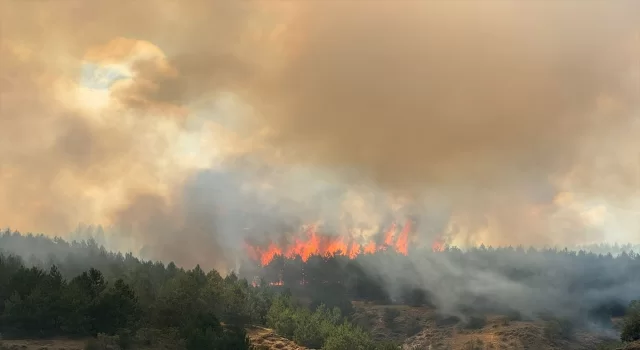 Kastamonu’da ormanlık alanda çıkan yangına müdahale ediliyor