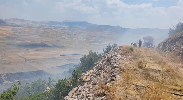 Aksaray’da ormana sıçrayan anız yangını söndürüldü