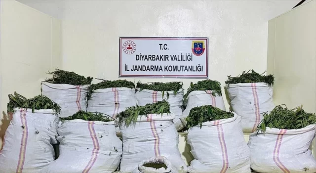 Diyarbakır’da 785 bin 300 kök kenevir ve 379 kilogram esrar ele geçirildi