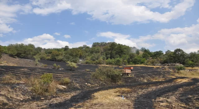 Amasya’da çıkan yangında 15 dönüm buğday ekili arazi zarar gördü