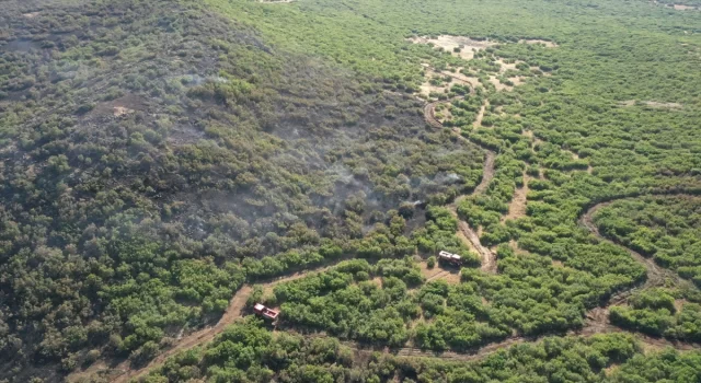 Elazığ’da ormanlık alanda çıkan yangın kontrol altına alındı