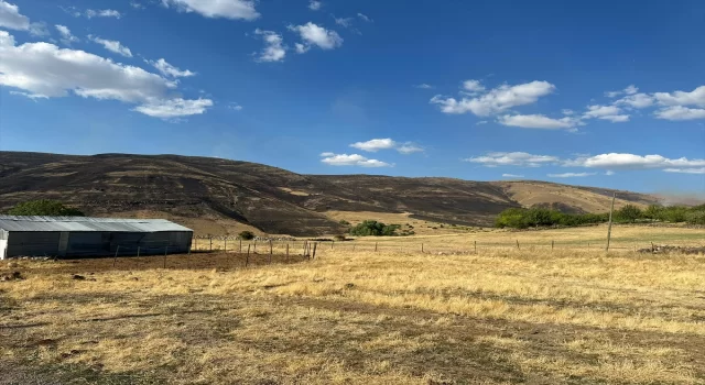 Elazığ’da otluk alanda çıkan yangına ekipler müdahale ediyor