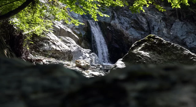 Kastamonu’da Gürleyik Şelalesi turizme kazandırılacak